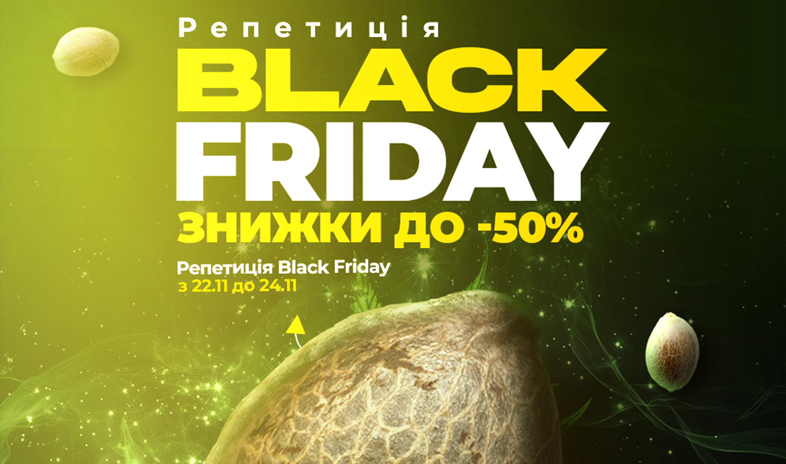 Black Friday at Errors Seeds: First Stage