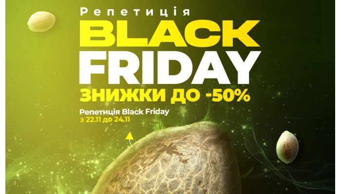 Black Friday at Errors Seeds: First Stage