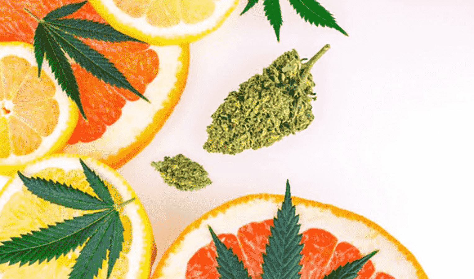 Citrus varieties of cannabis