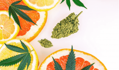 Citrus varieties of cannabis