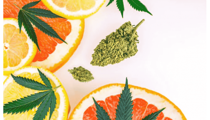 Citrus varieties of cannabis