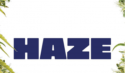 History of Haze genetics