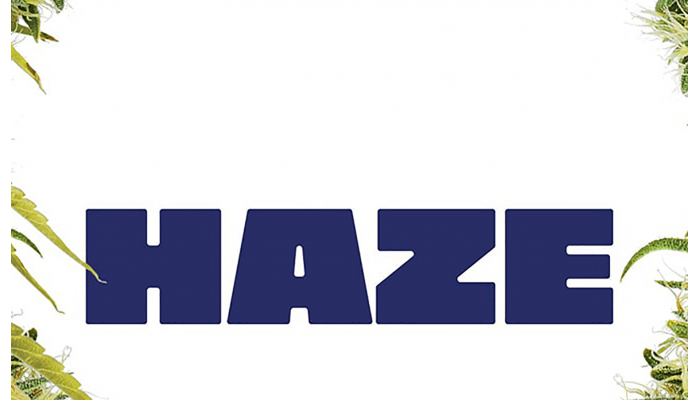 History of Haze genetics