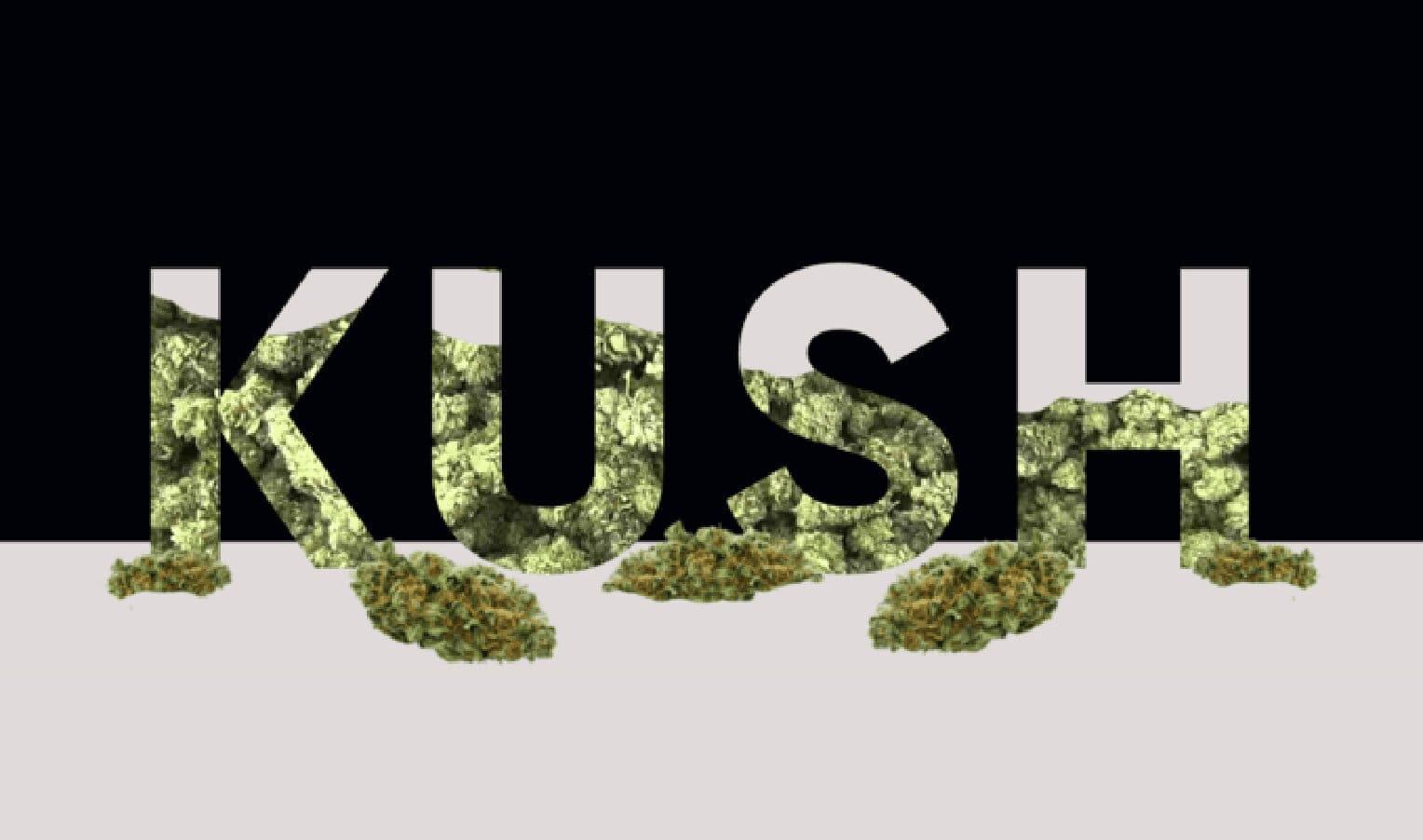 History of Kush genetics