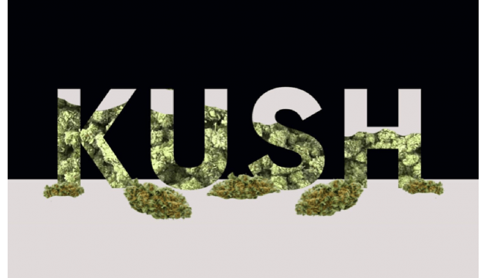 History of Kush genetics