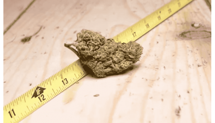 What the size of the bumps depends on