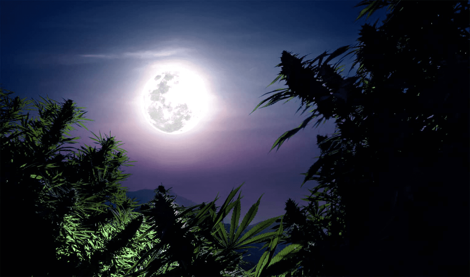 Cannabis Cultivation: Lunar Calendar 2025