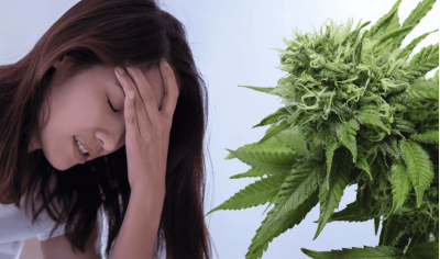 Headache therapy with cannabis