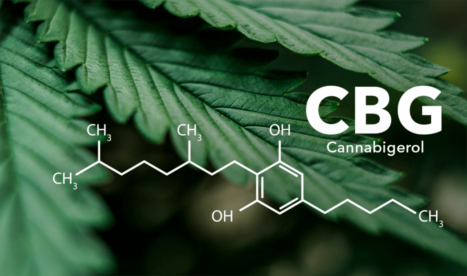 What is CBG?