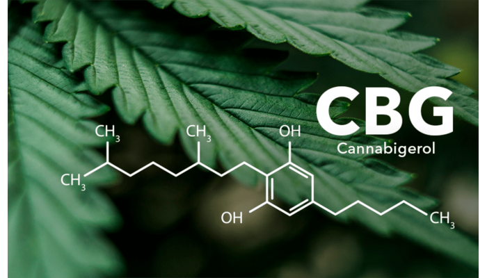 What is CBG?