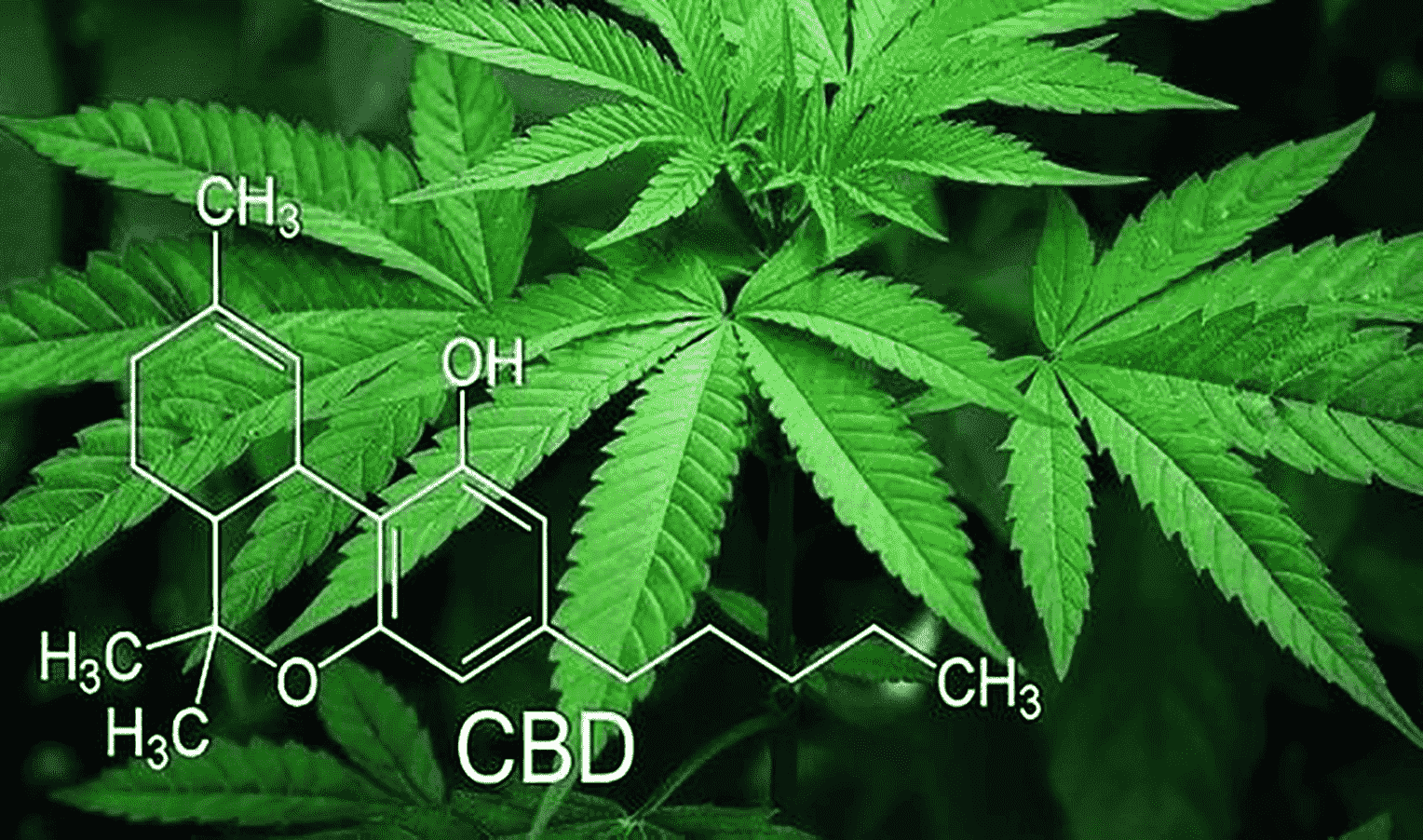 Chemical structure and use of medical cannabis