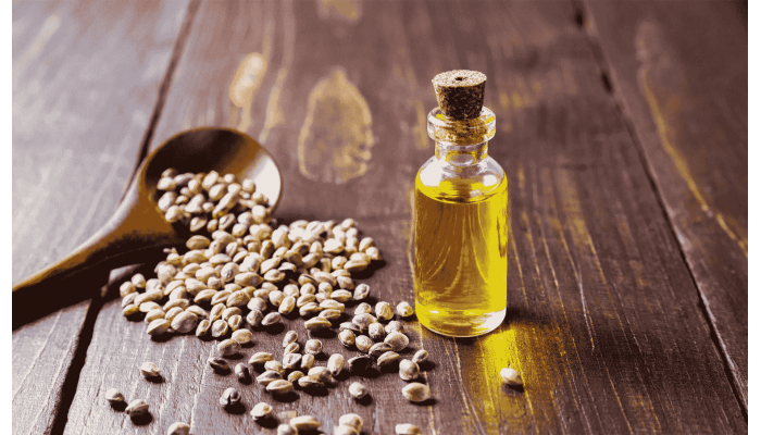 Using hemp oil in cosmetology