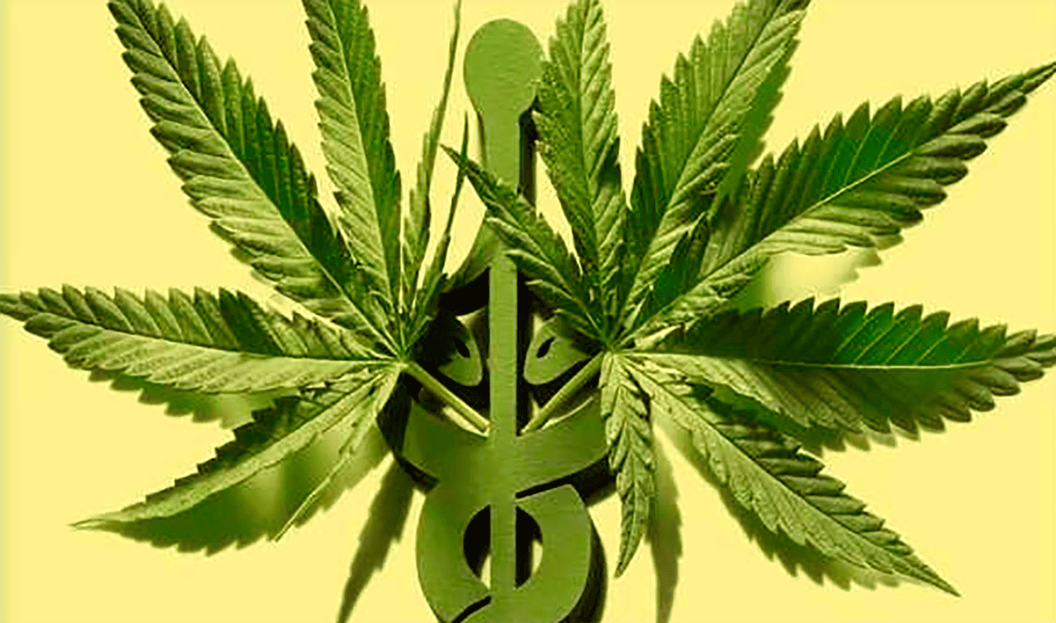 Historical and legal information about cannabis