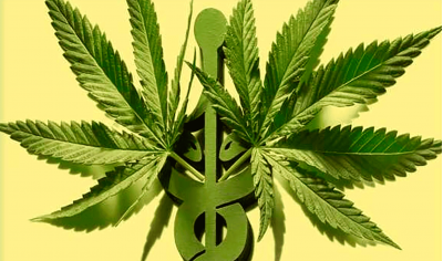 Historical and legal information about cannabis