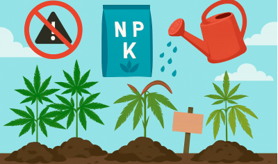 How to avoid overusing fertilizers