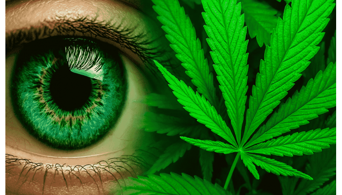 How cannabis affects vision
