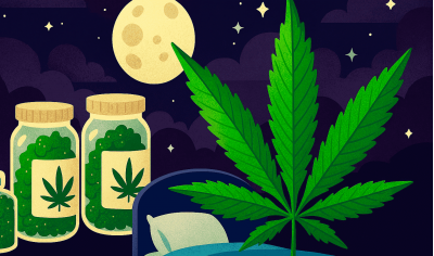 Cannabis for insomnia: which strains help best