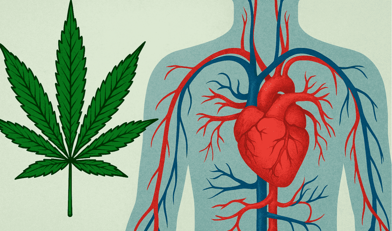 Cannabis and the cardiovascular system: risks and opportunities