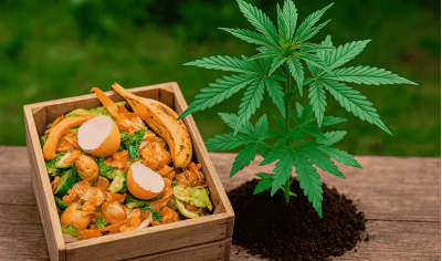 Is it possible to grow marijuana using only organic kitchen waste?
