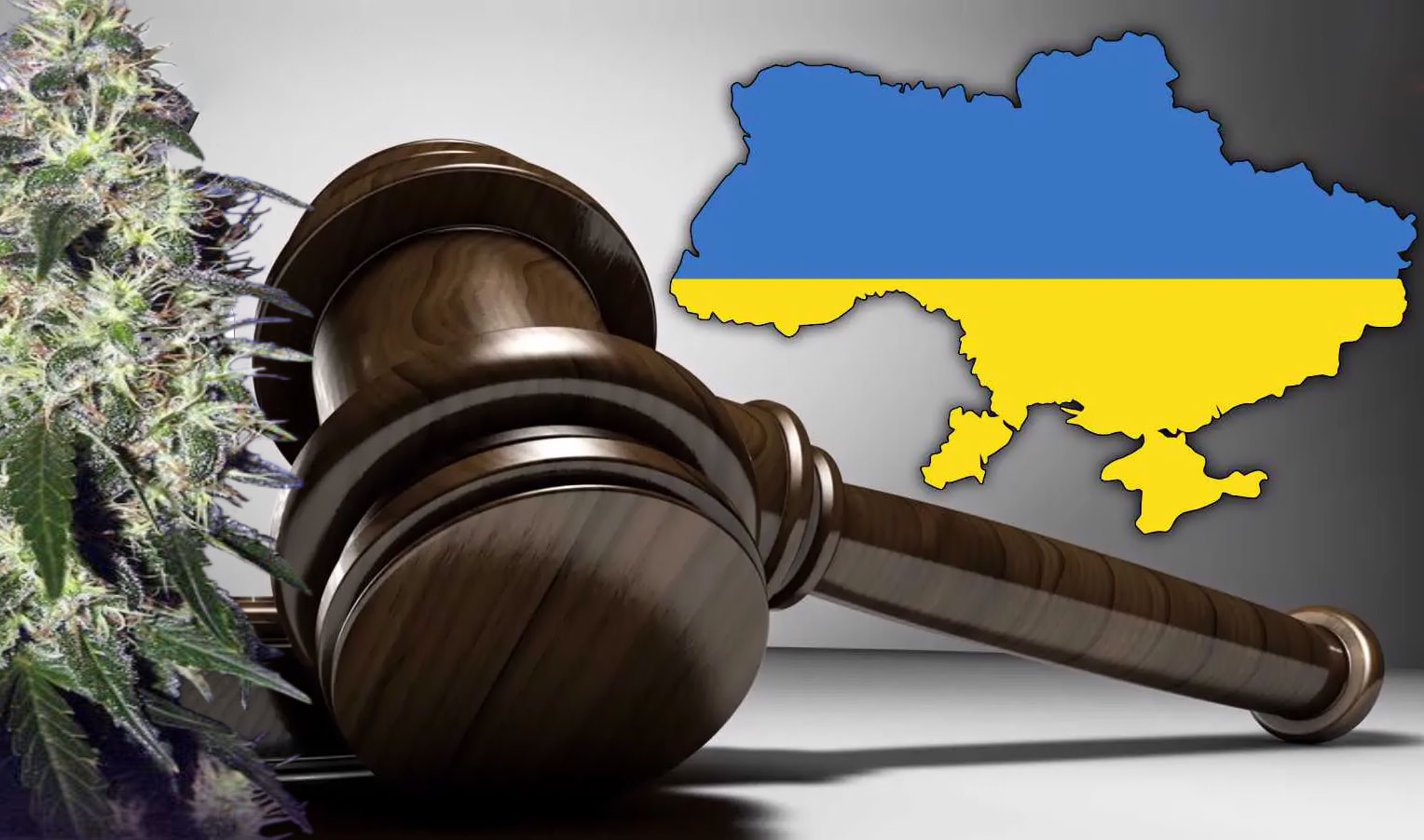 Can I buy hemp seeds online?