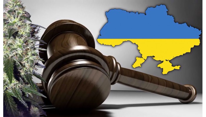 Can I buy hemp seeds online?