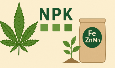 How to read fertilizer composition: what do NPK and micronutrients mean?