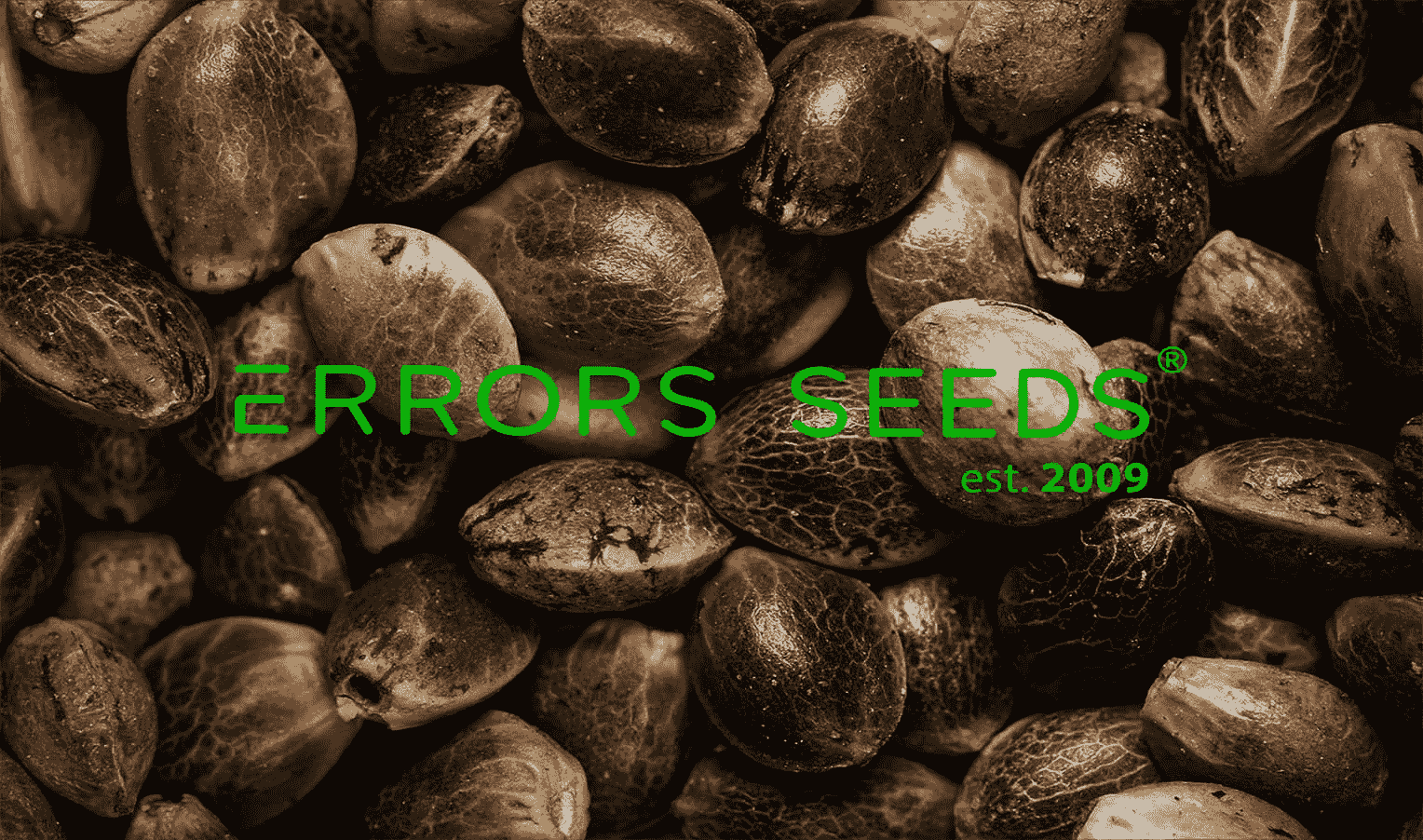 Why is working with Errors Seeds safe?