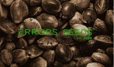 Why is working with Errors Seeds safe?