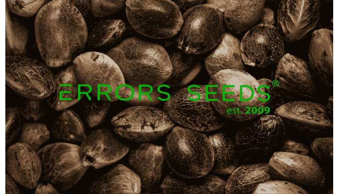 Why is working with Errors Seeds safe?