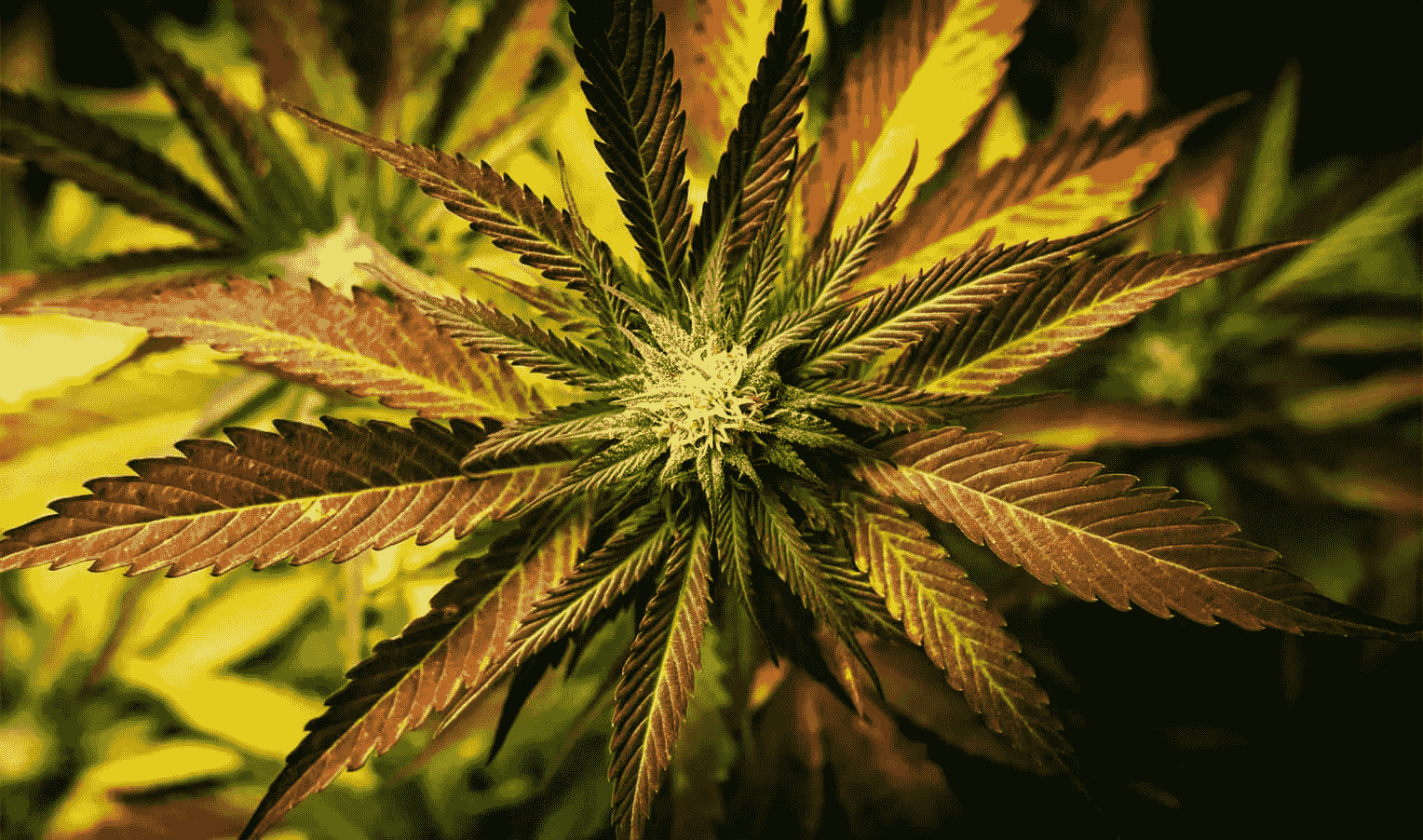 A beginner's guide to grooving