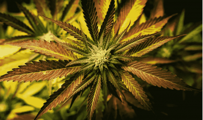 A beginner's guide to grooving