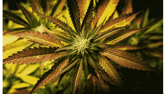 A beginner's guide to grooving