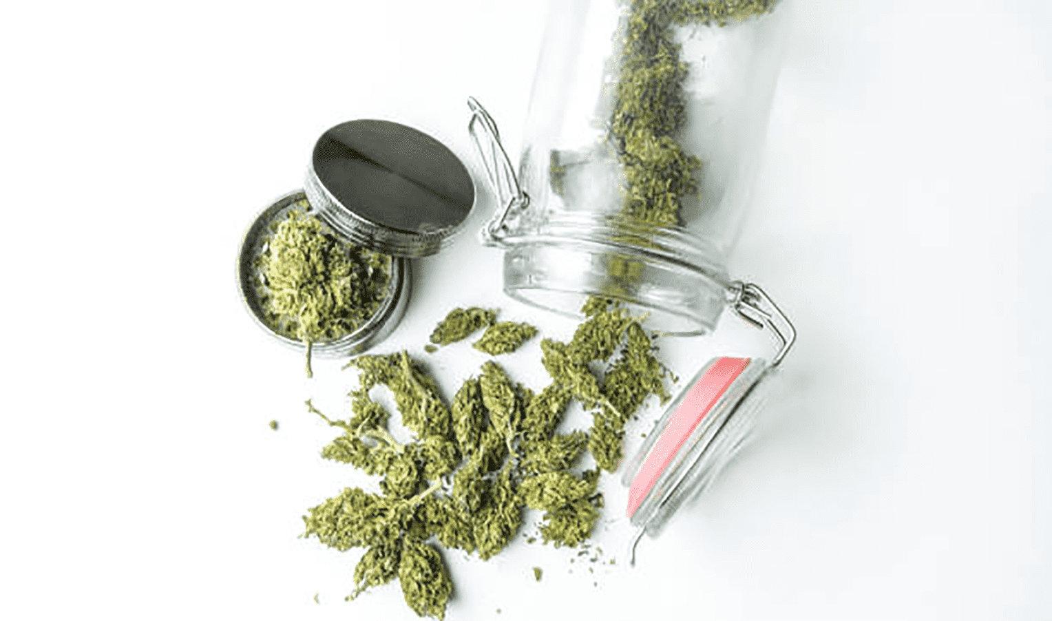 Synthesis of cannabis from yeast