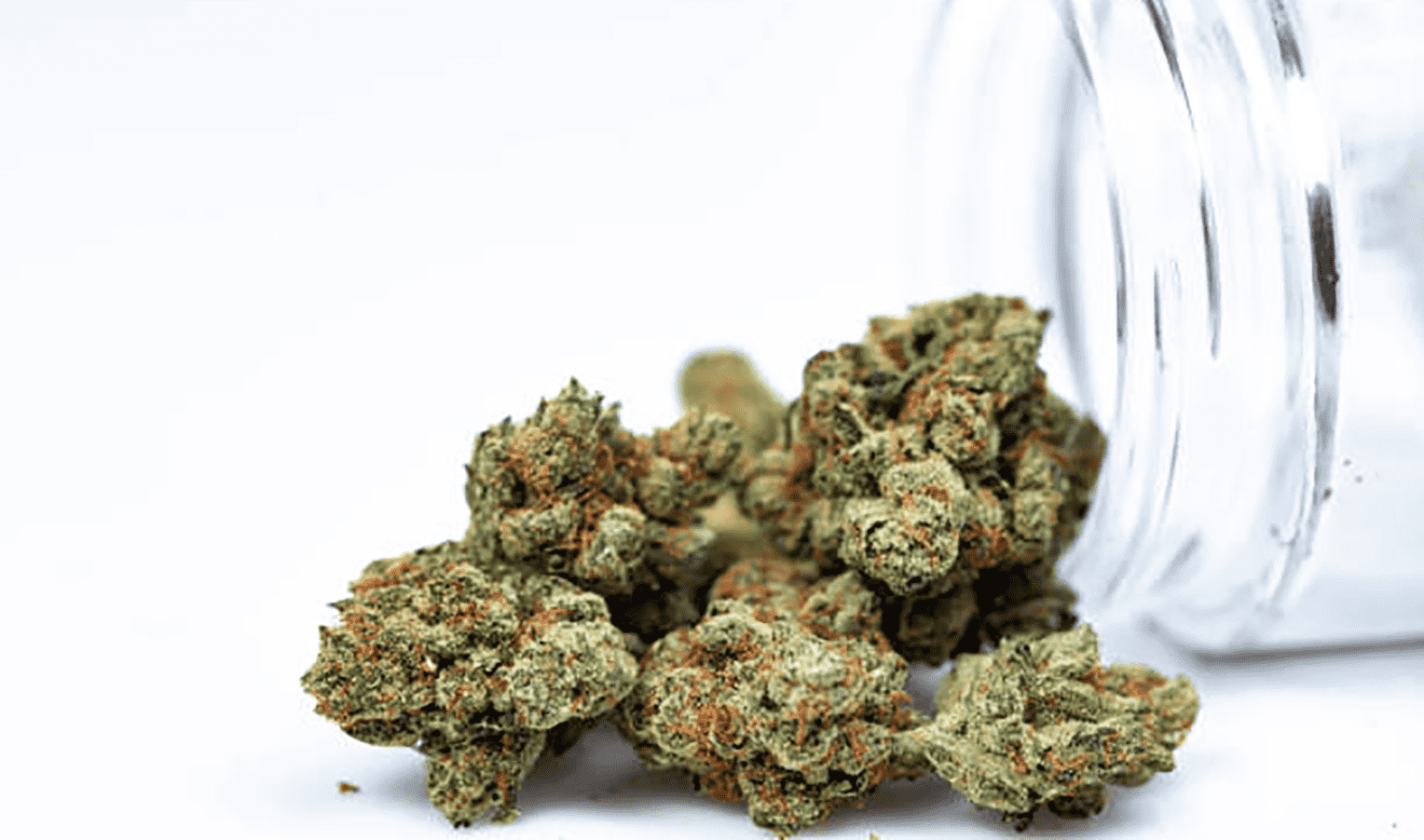 Can Cannabis Keep Your Brain Young?