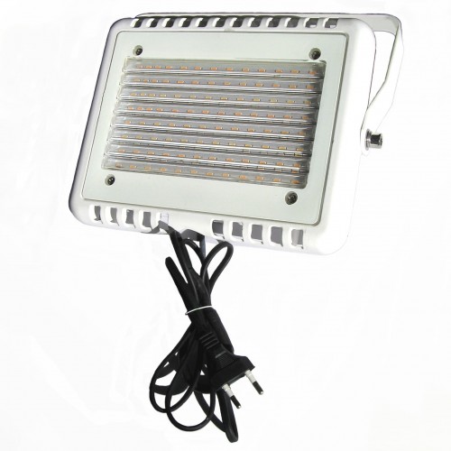 LED Phytolight DAY LM - 50