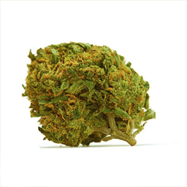 Durban Poison Feminised Gold Seeds