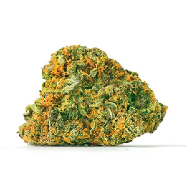 Gorilla Glue x Amnesia Feminised Gold seeds