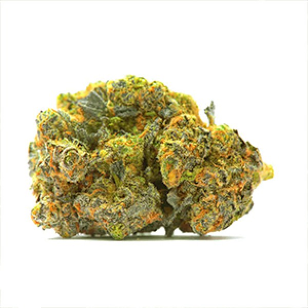 Lavender Feminized Gold seeds