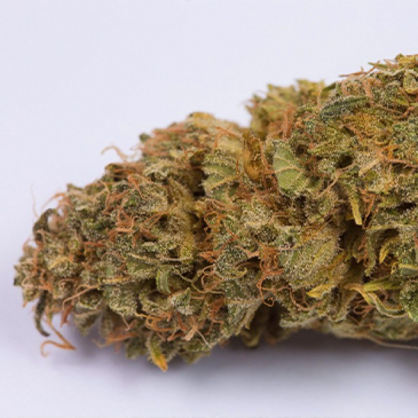 Auto OG Kush Feminised Seeds by Dinafem