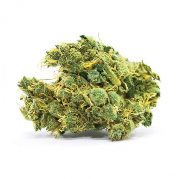 Banana Sherbet Feminised Gold seeds