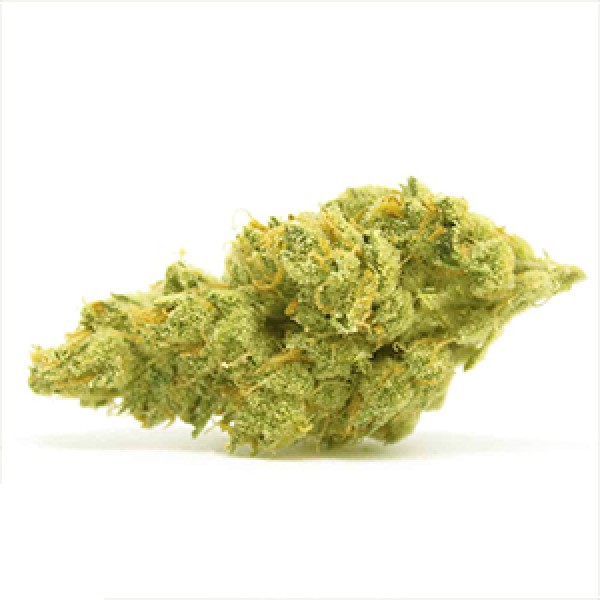 Pineapple Chunk Feminised Gold seeds