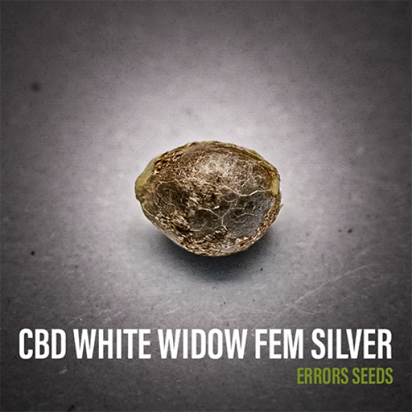 CBD White Widow Feminised Silver