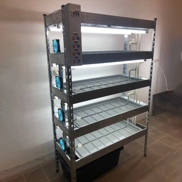 Standalone hydroponics rack for microgreens, wheatgrass, GZK
