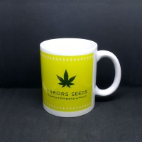 Mug Errors Seeds