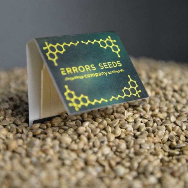 Спички Errors Seeds 