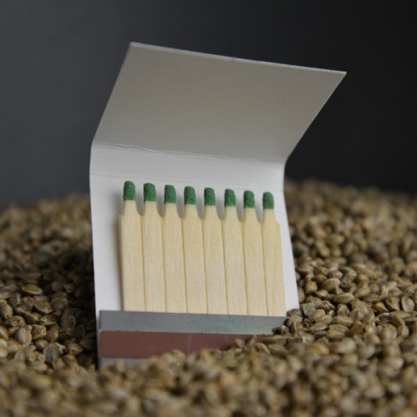 Спички Errors Seeds 