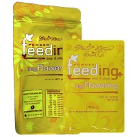 Powder Feeding Long Flowering