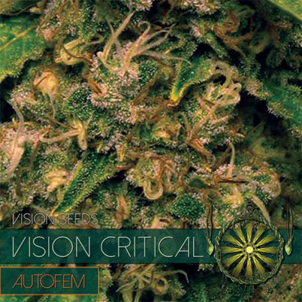 Auto Vision Critical Feminised