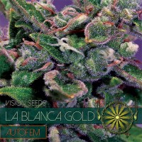 Auto La Blanca Gold Feminised