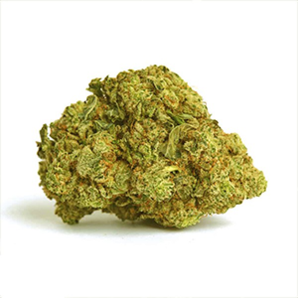 The Ultimate Feminised Gold seeds